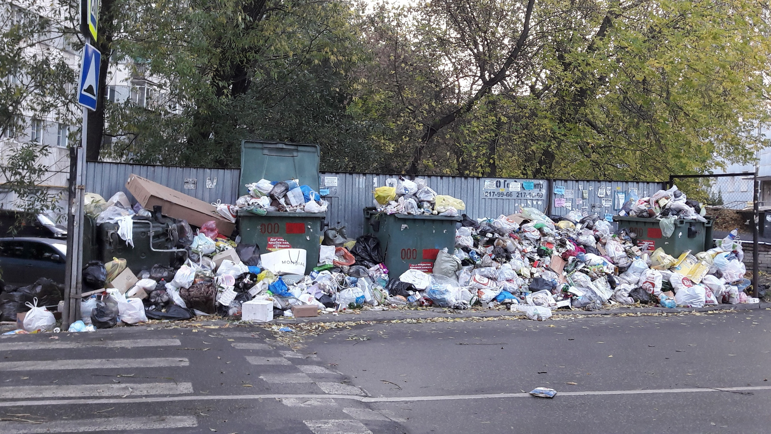 В Челябинске еще 8 октября сняли режим ЧС из-за мусора, а свалки остались