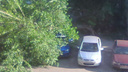 «Паркуюсь где хочу»: в челябинском дворе на автомобиль рухнуло дерево