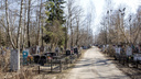 В Ярославской области молодой мужчина воровал ограды с могил: как прятал награбленное