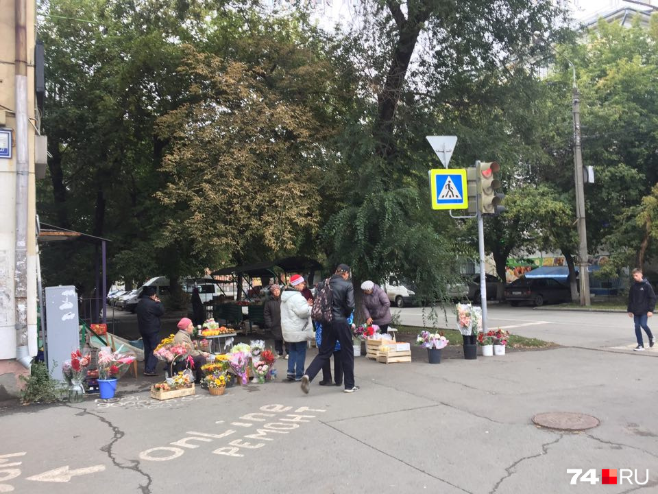 Одна из цвеТочек развернулась на улице Плеханова