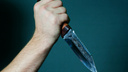 Житель Шатровского района ударил знакомую ножом 28 раз