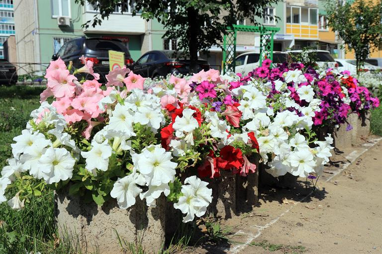 В этом же дворе гуляют четверо детей лучшего дворника В этом же дворе гуляют четверо детей лучшего дворника