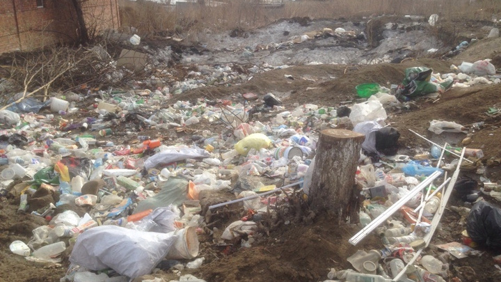 «Обнесли забором и забыли о людях»: в Николаевку на свалку свозят машины мусора и трупы животных