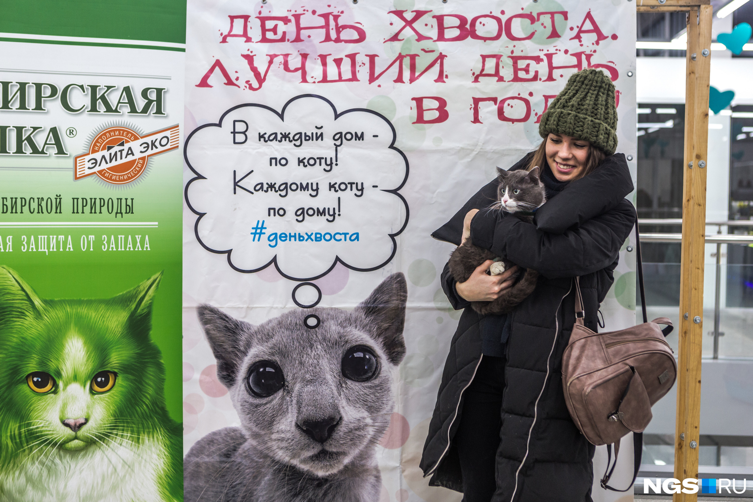 Забрать животных у волонтёров можно не только на выставках Забрать животных у волонтёров можно не только на выставках
