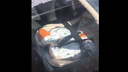 «Пусть орёт»: в Магнитогорске мать оставила грудничка одного на солнце в машине