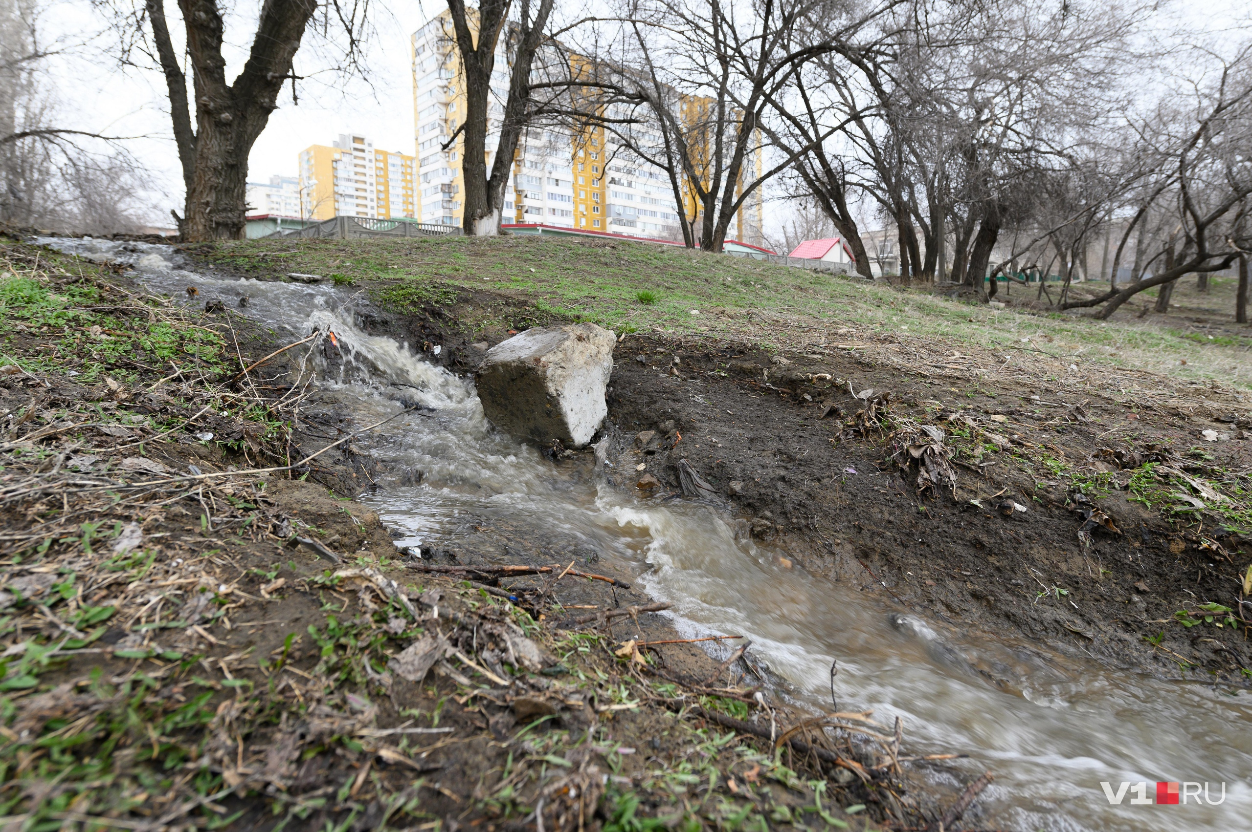 Весенние канализационные ручьи во дворе гимназии № 14