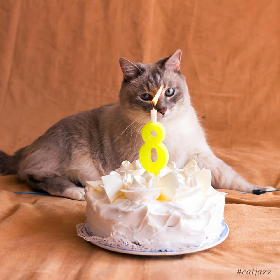 А это не мем, а фотосессия в честь Дня рождения А это не мем, а фотосессия в честь Дня рождения