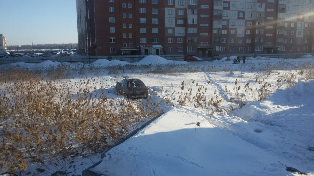 Автоинспекция подозревает, что в автомобиле были наркотики Автоинспекция подозревает, что в автомобиле были наркотики