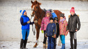 Клуб закрыть, коней — на мясо: родители спасают конный кружок под Новосибирском