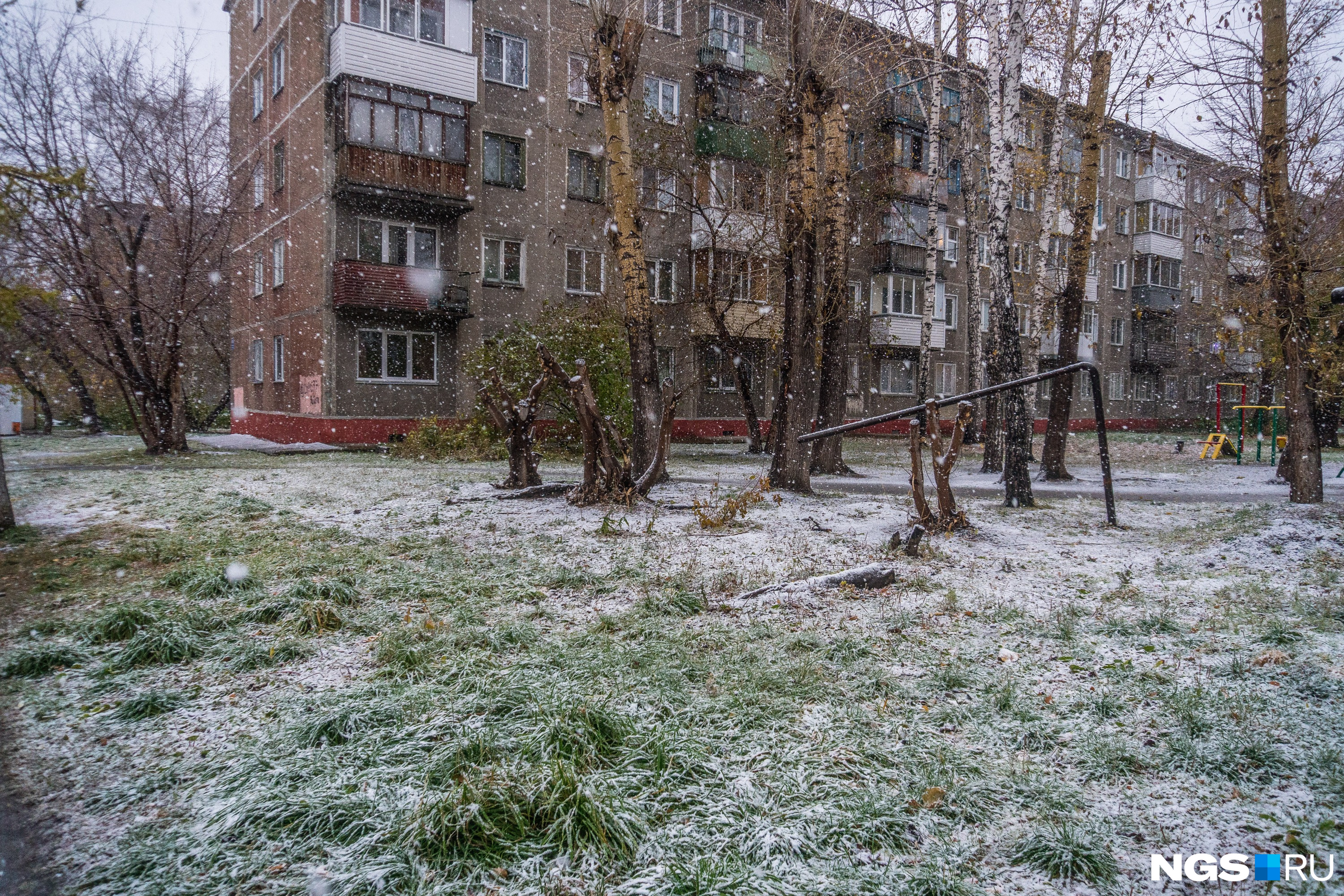Синоптики дали предварительный прогноз на предстоящую зиму — уже через месяц в Новосибирске <a href="https://ngs.ru/text/winter/2018/10/17/65514221/" class="_" target="_blank">будет минус 25 градусов</a>.