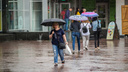Осень близко: в Новосибирск надолго пришли дожди