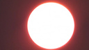 Новосибирец снял очень красное солнце с 60-кратным увеличением