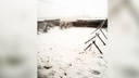 «Валит крупными хлопьями»: юг Новосибирской области засыпало снегом