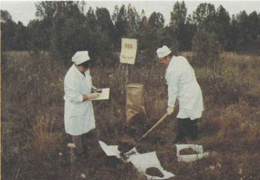 Отбор проб радиоактивной почвы