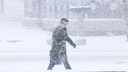 По-прежнему снежно: какая погода ожидает Ростов на этой неделе