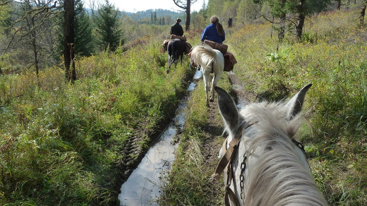Путешествие на выходные: верхом на коне по осеннему лесу за 17 тысяч