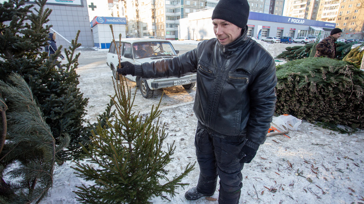 В Челябинске откроют более 30 точек по приёму ёлок. Куда можно сдать новогодние деревья