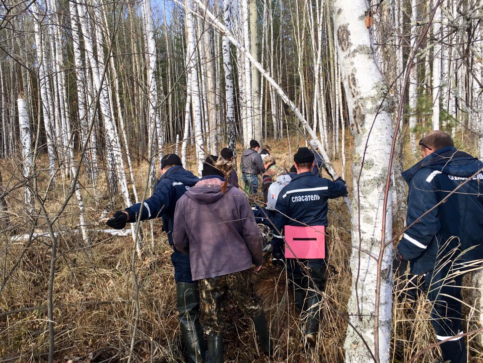 Поиски тюмень. Заблудился на болоте. Оперативная служба в лесу. Спасатели спасатели на болоте.