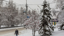 Аномальный холод придёт в Новосибирск на смену метелям и снегопадам