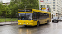 Две сотни новых автобусов появится в Новосибирске к МЧМ по хоккею