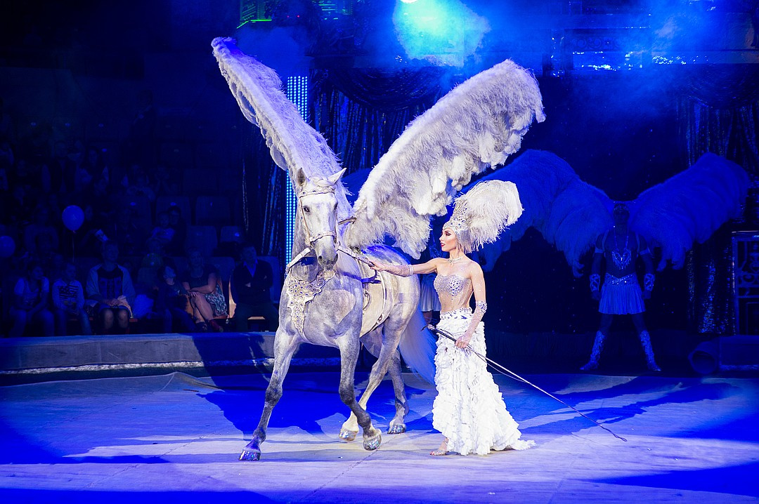В цирке Гии Эрадзе много разных лошадей и даже крылатых