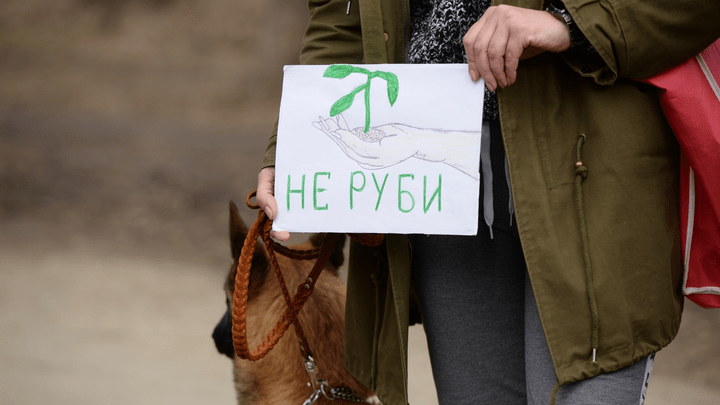 Московская компания потребовала отменить конкурс на реконструкцию Зеленой Рощи
