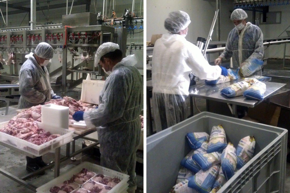 Несмотря на банкротство, в челябинских магазинах продолжают продавать утиное мясо под брендом «Уткино» 