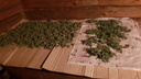 Сушил травку в бане: сотрудники ФСБ нашли у жителя Сызрани плантацию конопли и 5 кг марихуаны