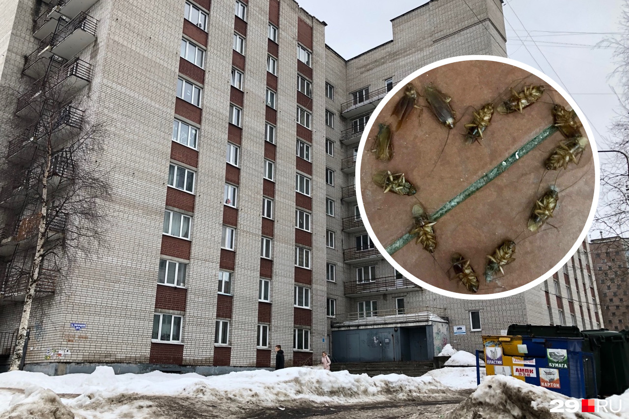 Скрытая камера в душе общежития КПИ: студента могут посадить на три года | Новини