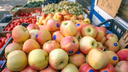 Самарские ученые научились делать одноразовую посуду из яблочного пюре