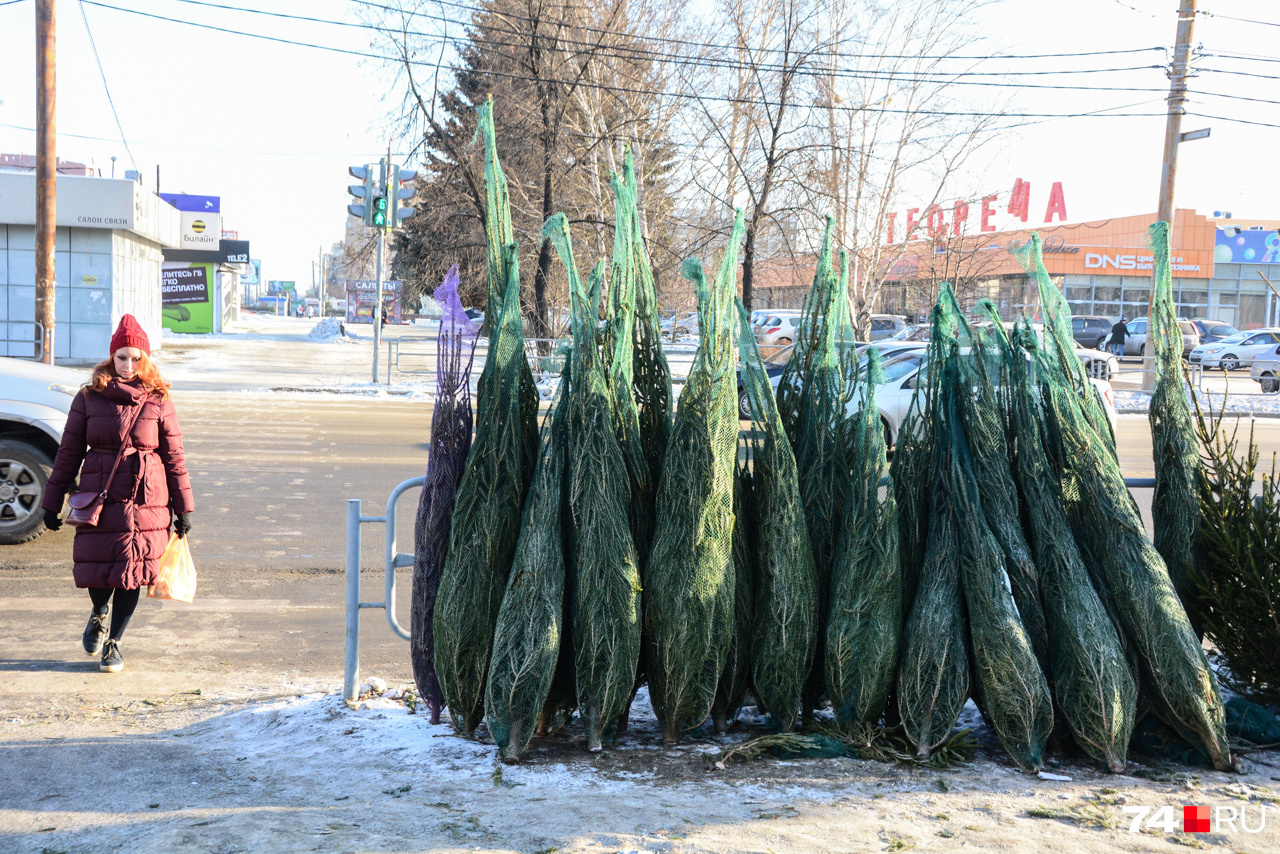 Тк елки челябинск