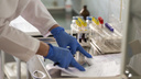 Началась бесплатная поставка новосибирской тест-системы на выявление коронавируса в другие страны