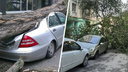 Что делать, если на ваш автомобиль упало дерево в Ростовской области?