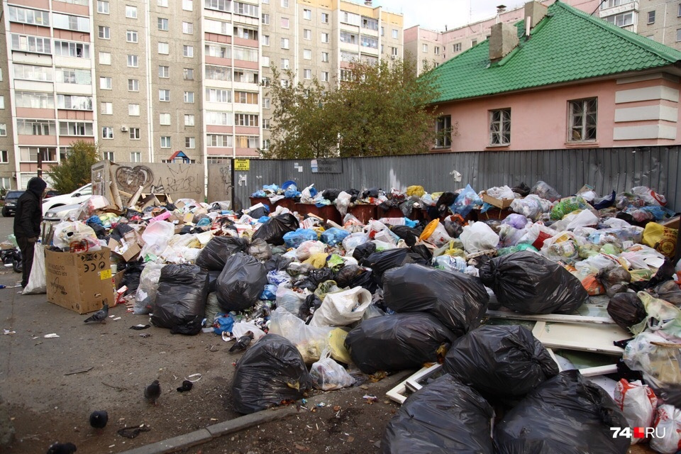 Проблемы с вывозом мусора в Челябинске начались сразу после закрытия городской свалки