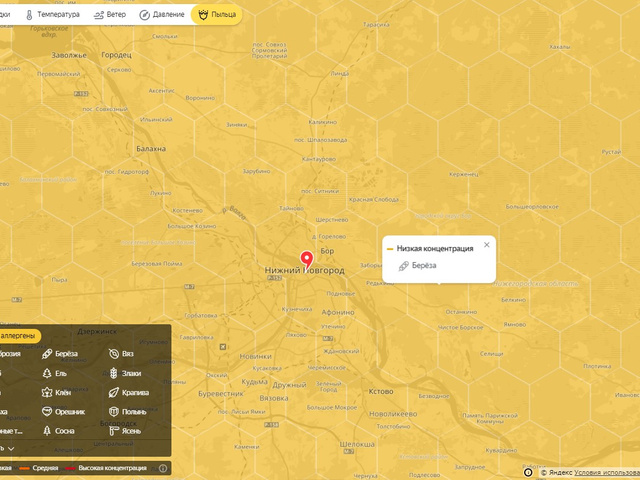 Карта распространения пыльцы для аллергиков московская область