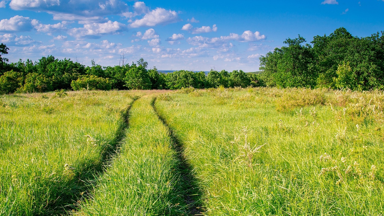 Через поля через луга встала. Урюпинск поля. grass волгоград красивые фото.