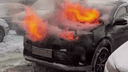 Девушка поставила сигнализацию на кроссовер Toyota RAV4 — после этого он сгорел