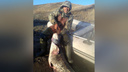 «Рыба нас катала по Волге»: житель Самарской области поймал сома весом 55 кг