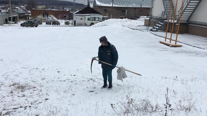 В МЧС объяснили, зачем заставили уральских спасателей косить траву под снегом