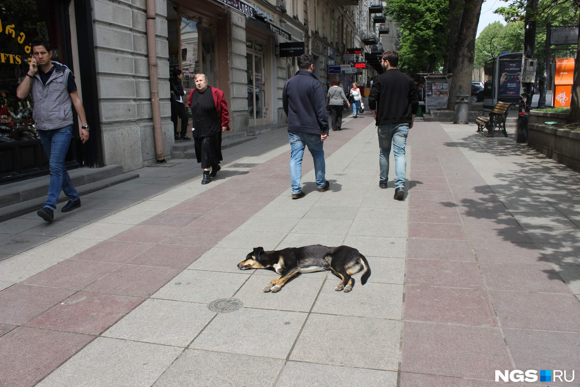 Повсеместно в Грузии можно заметить беззаботно спящих прямо посреди тротуара собак. Это многое говорит о местных жителях. Фото Стаса Соколова