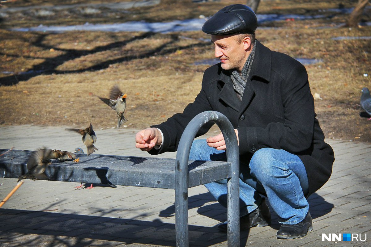 Požadavky holubů a vrabců jsou nenáročné