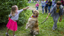 Породистые собаки пришли на фотосессию в Нарымский сквер: они собрали деньги для животных из приюта