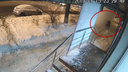 В Ярославле на двух женщин рухнула огромная глыба снега. Видео