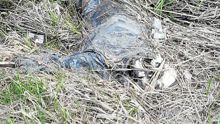 «Видно, что сброшен с дороги»: участники «Майской велопрогулки» нашли на ЕКАД скелет человека