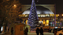 Фото: в Новосибирске зажглась главная новогодняя ёлка