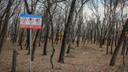 Вокруг Ростовской агломерации высадят леса
