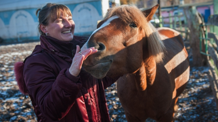 Знаменитую башкирскую породу лошадей будут разводить в Тюменской области