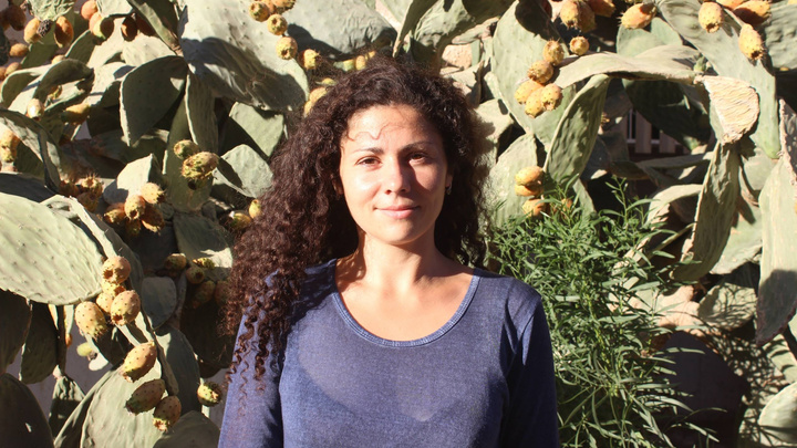 «Нет, давай цианид!»: журналист Ая Шафран, уехавшая в израильскую пустыню, — о трудностях иврита