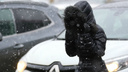 Экстренное предупреждение от МЧС: на Ярославль обрушится сильный ветер и снег