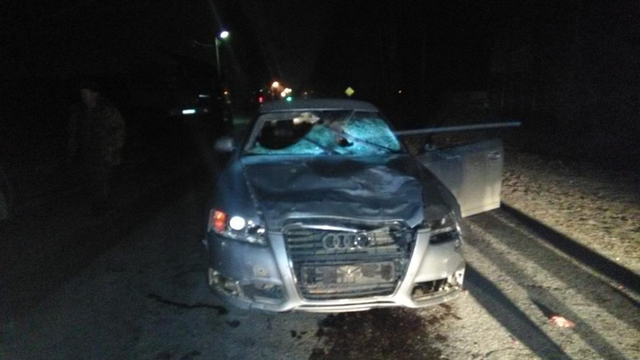 В Прикамье арестовали водителя Audi, сбившего насмерть на трассе трёх человек